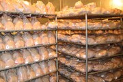 هشت تن گوشت مرغ روزانه وارد بازار تایباد می شود