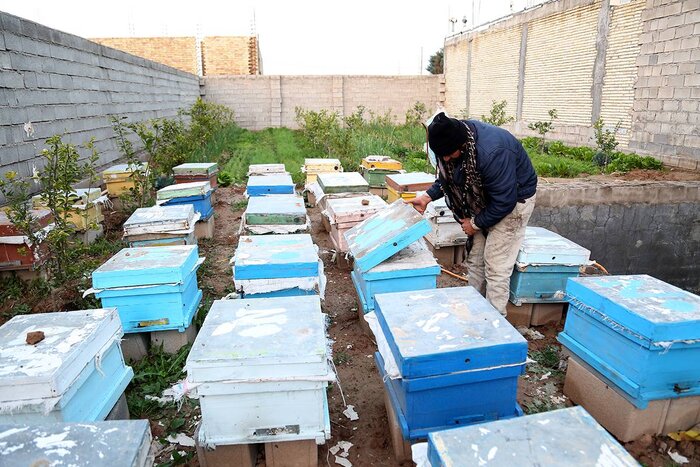 ۳۵ هزار طرح اشتغالزایی در مناطق مرزی اجرا شد