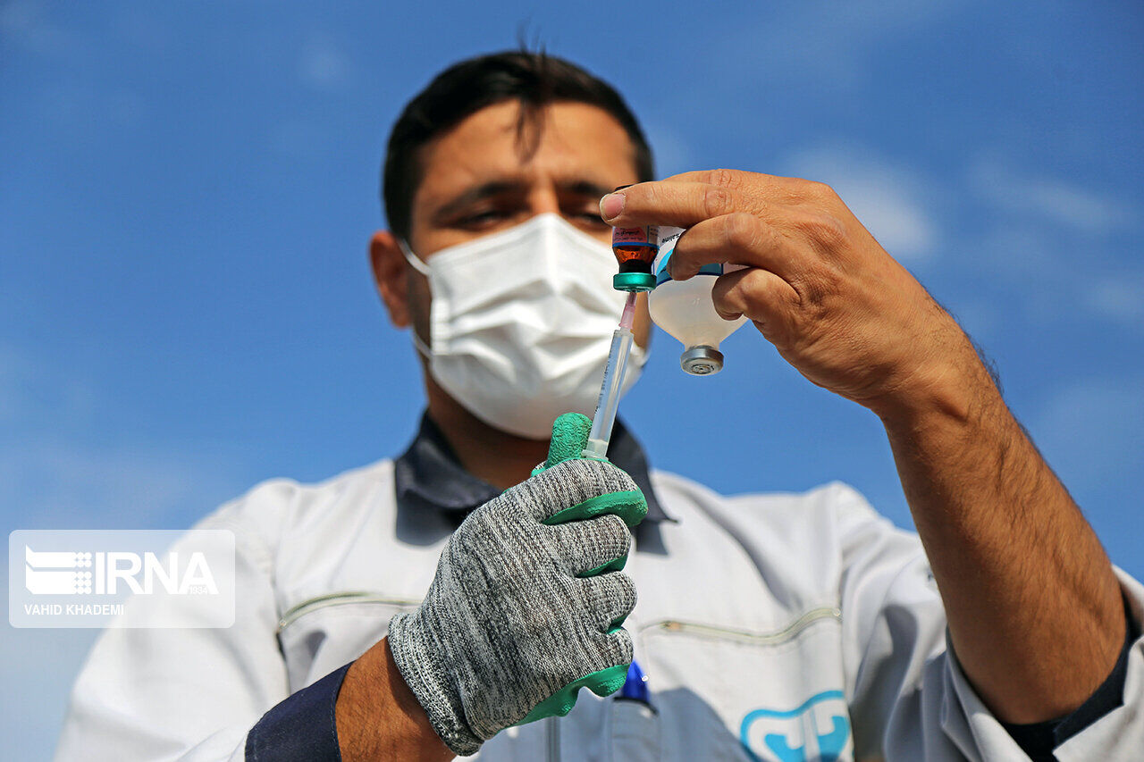 ۲ میلیون و ۸۳۳ هزار واکسیناسیون دام در زنجان انجام شد
