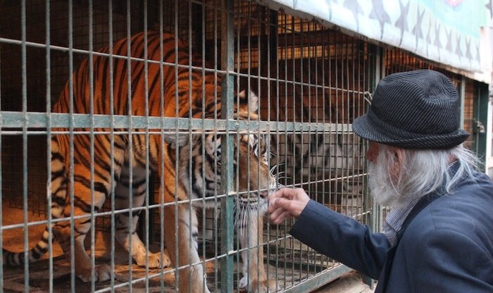 پرواز "پهلوان عقاب " به خانه ابدی + فیلم