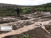 سیل بیش از ۲۲۰ میلیارد ریال به ابنیه فنی راه‌های شهرستان گرمی خسارت زد