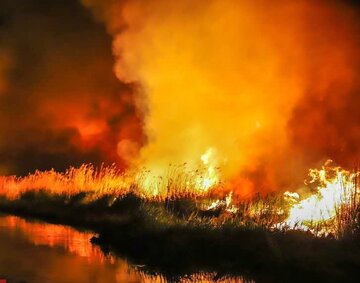 آتش سوزی در جنگل ها و مراتع شلالدون باشت تحت کنترل است