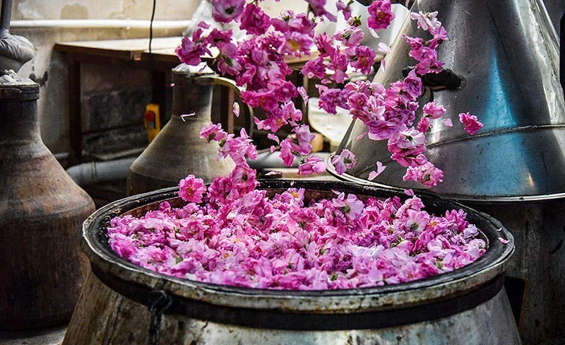 اردیبهشت کجا سفر کنیم؟
