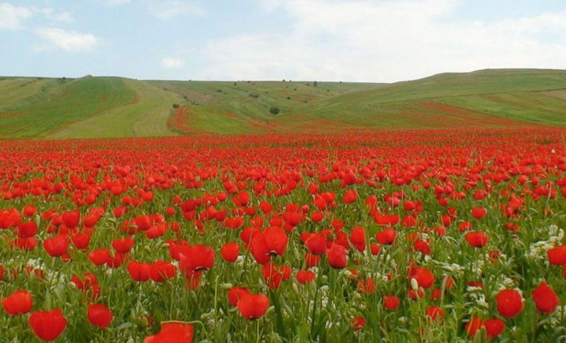 اردیبهشت کجا سفر کنیم؟
