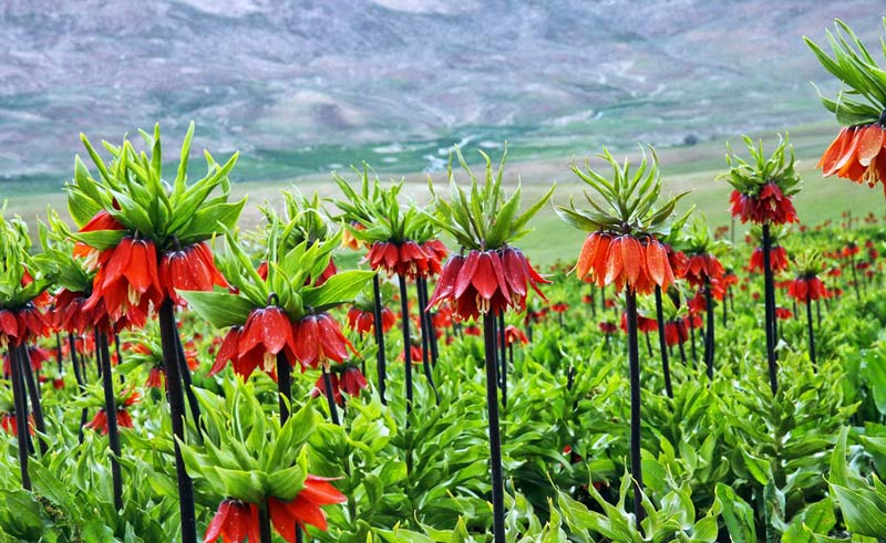 اردیبهشت کجا سفر کنیم؟