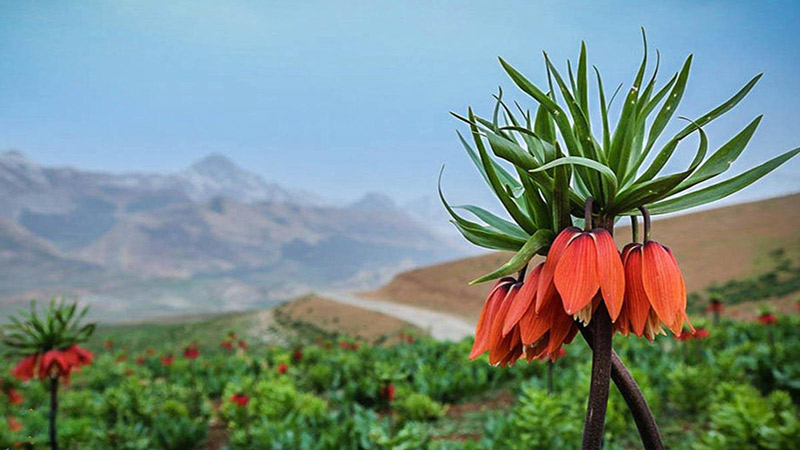 اردیبهشت کجا سفر کنیم؟