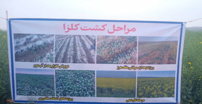 ضرورت استفاده از کشاورزی دانشبنیان برای بهبود تولید محصولات