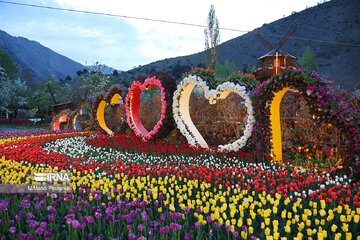 Le festival des tulipes à Assara