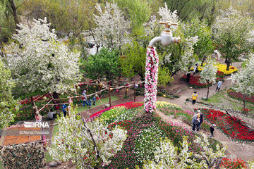 Le festival des tulipes à Assara