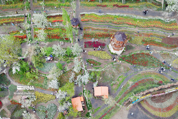 Le festival des tulipes à Assara