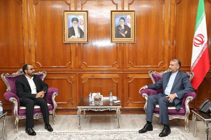 Iran's FM meets head of Yemeni delegation to peace talks in Oman