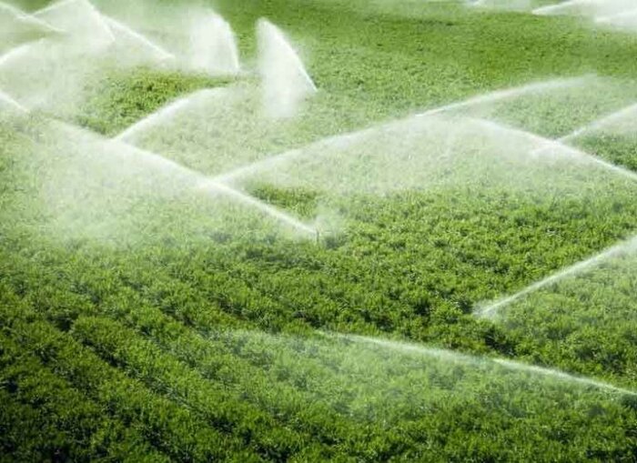 تغییرکاربری سالانه ۱۰ هزار هکتار از اراضی کشاورزی کشور