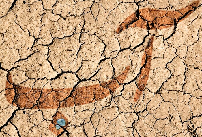 زنجیر خشکسالی بر پای آهوان خراسان رضوی
