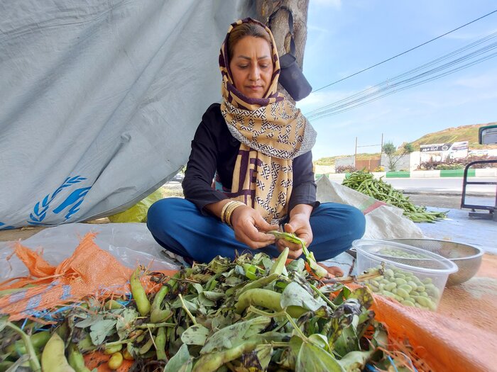 کارگران زن، نگین رشد تولید بخش کشاورزی