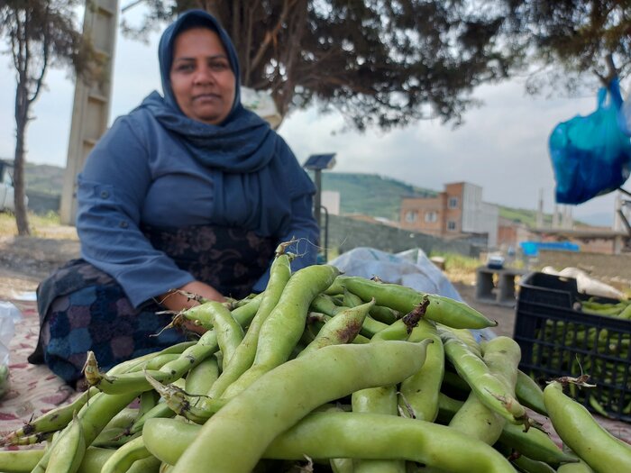 کارگران زن، نگین رشد تولید بخش کشاورزی