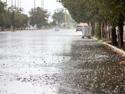 متوسط بارندگی در استان مرکزی ۶۰ میلیمتر کاهش یافته است