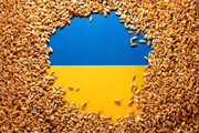 ازسرگیری ترانزیت غلات اوکراین با توافق ۵ کشور اتحادیه اروپا