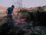 مهار آتش سوزی در ۱۵ هکتار از اراضی روستای غوله هندیجان