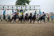 Соревнования по конному спорту в Гомбеде-Кавусе

