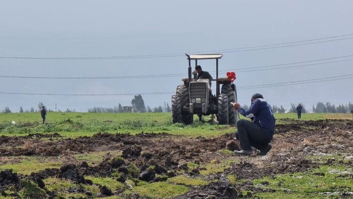 ساخت مجتمع پتروشیمی در میانکاله از سرگرفته شد؟