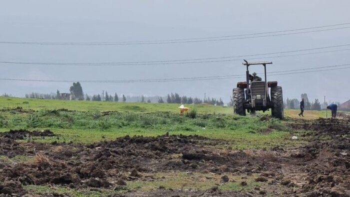 ساخت مجتمع پتروشیمی در میانکاله از سرگرفته شد؟