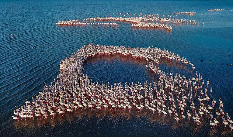 زیباترین سواحل ایران برای شنا و استراحت