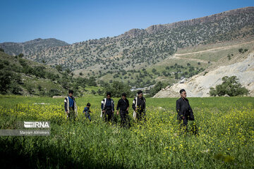 Iran Bakhtiari Nomads wedding ceremony