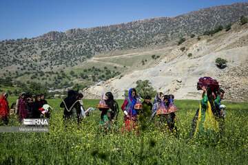 Iran Bakhtiari Nomads wedding ceremony