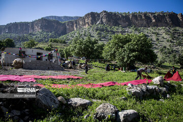 Iran Bakhtiari Nomads wedding ceremony