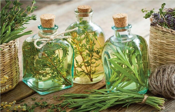 گذر از تابستان با رستنی های خنکی آور