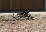 ربات‌های کوچک یاد می‌گیرند در جهان واقعی با سرعت برانند + فیلم