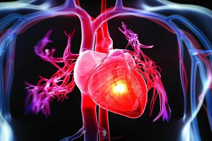 ژندرمانی کاهنده کلسترول در آزمایش انسانی موفق عمل کرد