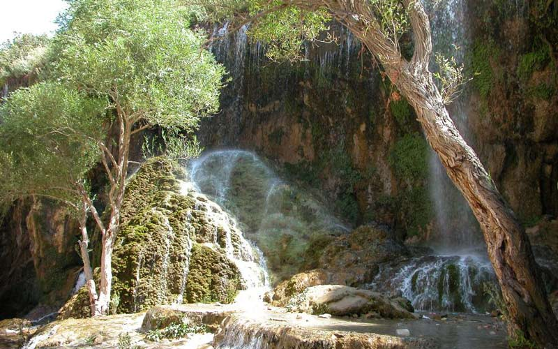 جنگل ارسباران؛ منطقه محبوب گردشگری در شمال غربی ایران