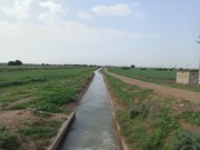 انعقاد قرارداد تامین آب‌ محصولات بهاره و زمستانه برای۴۷ هزار هکتار از اراضی شمال خوزستان 