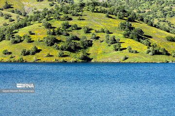 Garan Dam in western Iran discharged