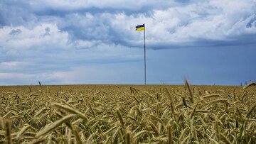 کی‌یف ادامه ممنوعیت اتحادیه اروپا بر واردات غلات از اوکراین را غیرقابل قبول خواند