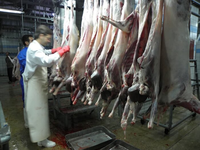 مصرف گوشت غیرمجاز تهدیدی برای سلامت شهروندان کهگیلویه و بویراحمد