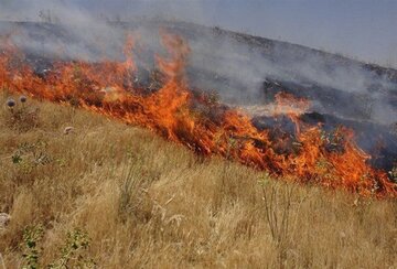 ۶۰ هکتار از پسماندهای مزارع کشاورزی و اراضی ملی قصرشیرین در آتش سوخت
