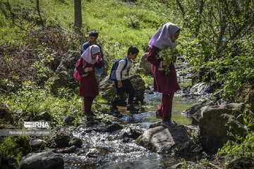 A school with 4 students in north Iran