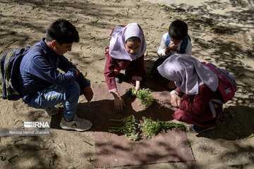 A school with 4 students in north Iran