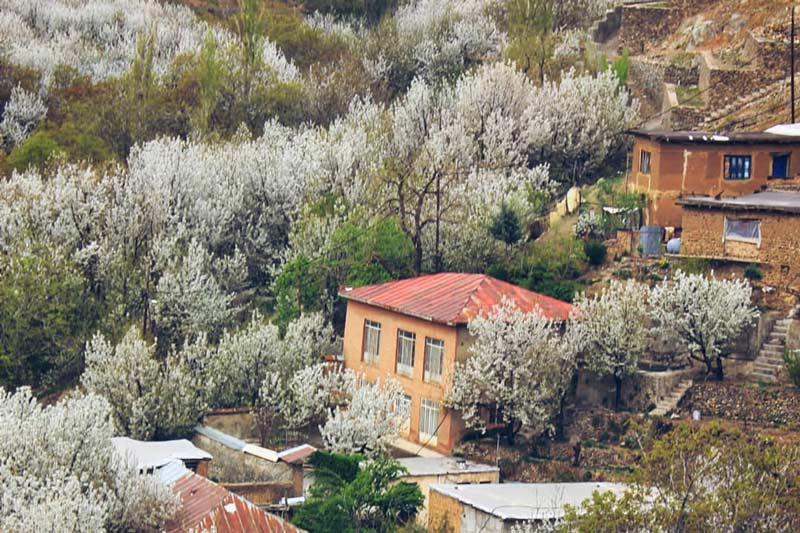 روستا و آبشار سنگان، روستایی سرسبز و پر آب
