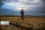 ۷۲ درصد استان اردبیل درگیر پدیده خشکسالی شدید است