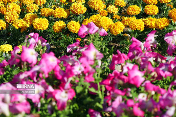 11th Urmia flowers festival in northwestern Iran