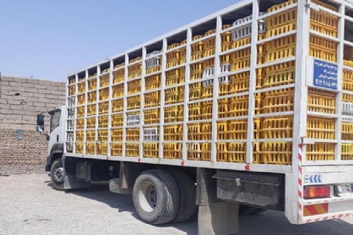 توقیف ۲ کامیون حامل مرغ زنده خارج از شبکه توزیع در خرم آباد