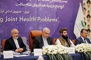 Iran ready to launch medical exports to Afghanistan: Minister