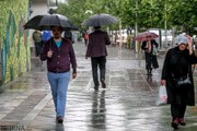 افزایش ۳۰ درصدی بارش باران در فارس نسبت به مدت مشابه پارسال