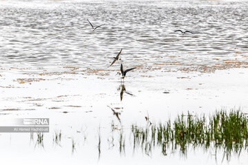 Quri Gol Lake