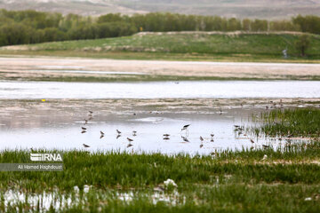 Quri Gol Lake