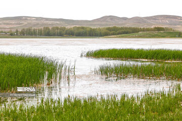 Quri Gol Lake