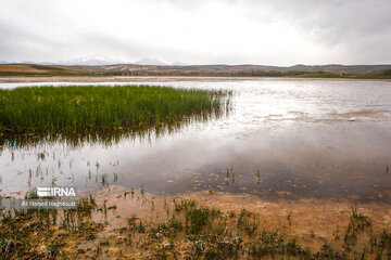 Quri Gol Lake